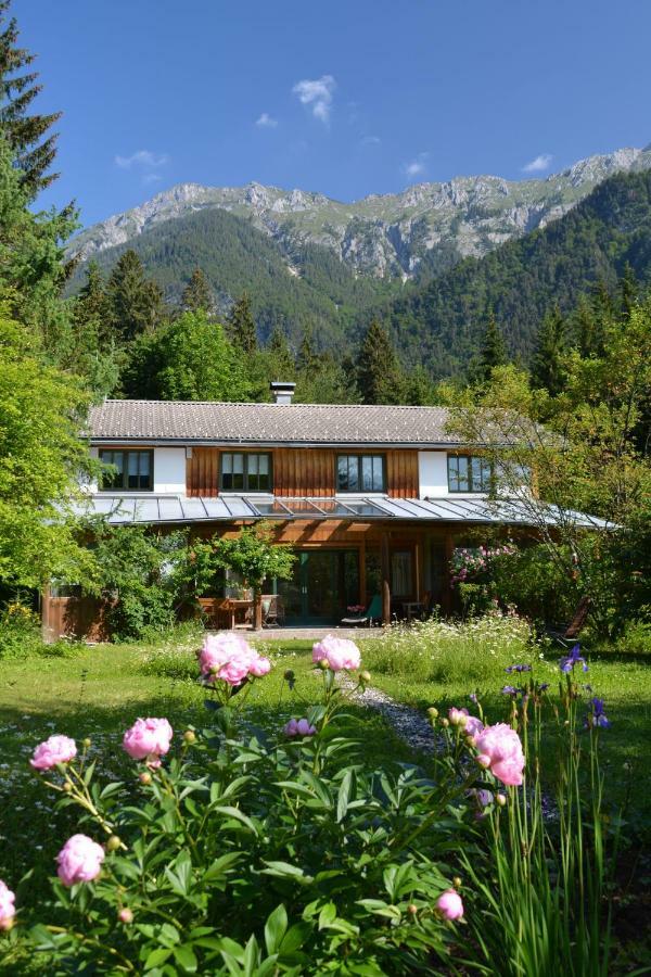Petra Maria Soelle - Ferienhaus Sehr Privat بريسيغ المظهر الخارجي الصورة